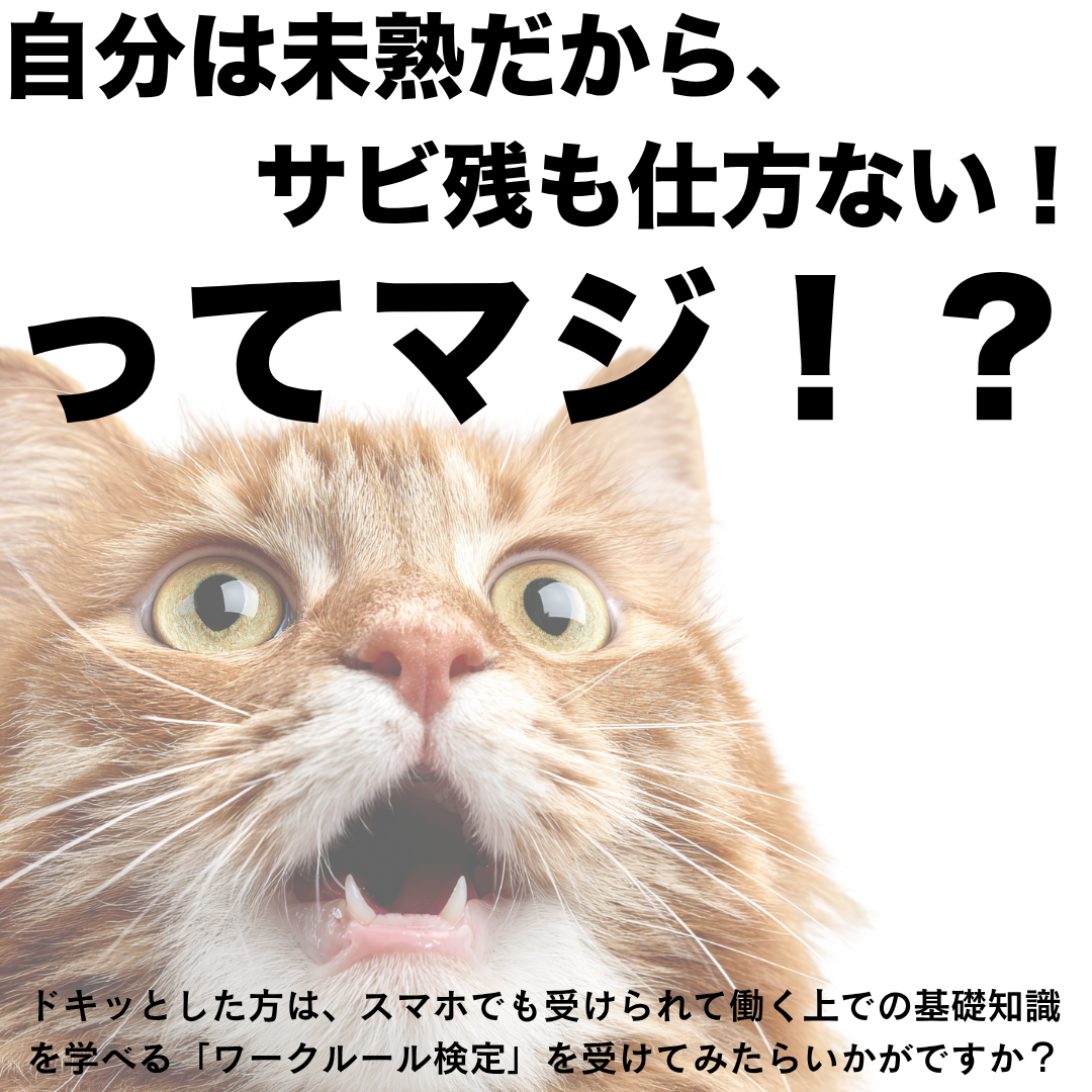 20251023171533_photo1.png  1330720bytes