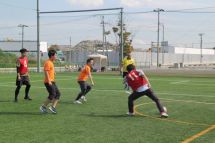 20251006140024_photo5.jpg  53801bytes